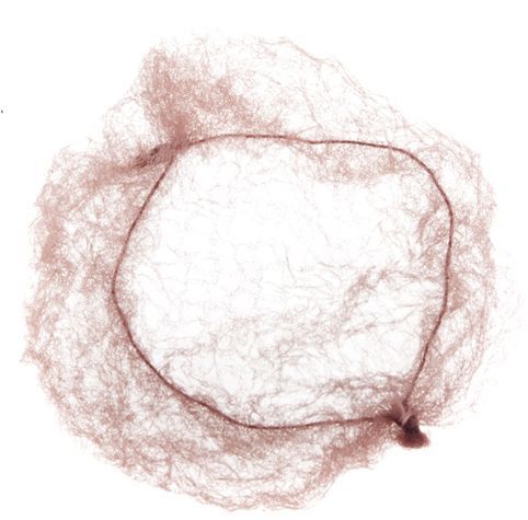 DEWAL, CE101 Сеточка для прически, коричневая 2 шт/уп