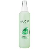 ARAVIA Professional 1023, Минерализованная вода с мятой и витаминами, 300 мл